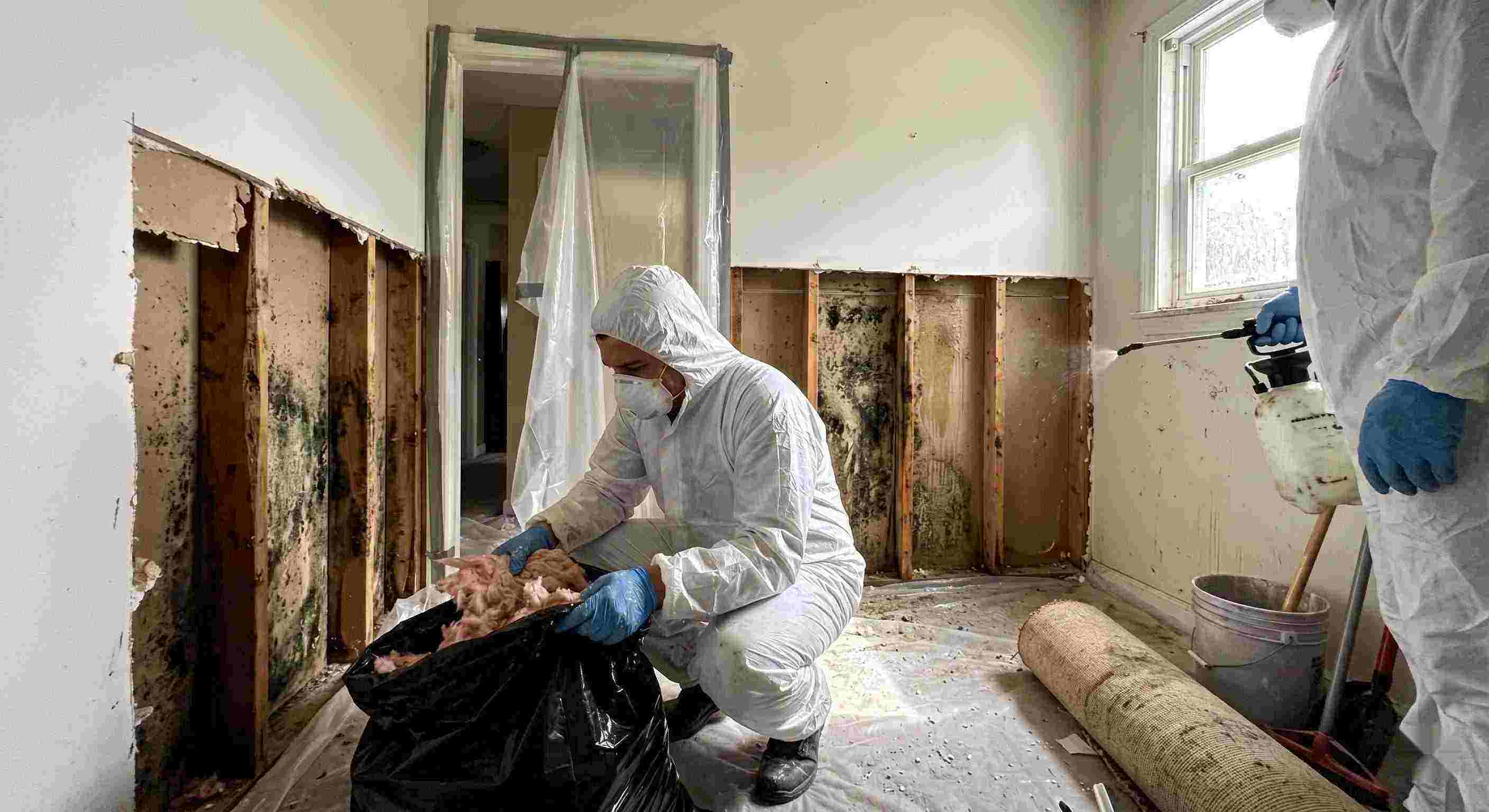 Local mold remediation services removing mold behind wall in home in Frederick